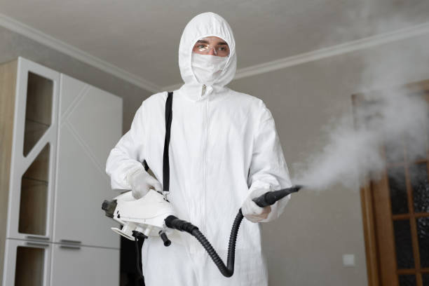 Best Mold Remediation for Healthcare Facilities  in USA